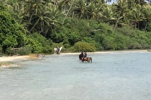 Equitation